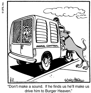 marmaduke